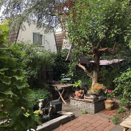 Cessinas Bed & Breakfast Groningen Bagian luar foto