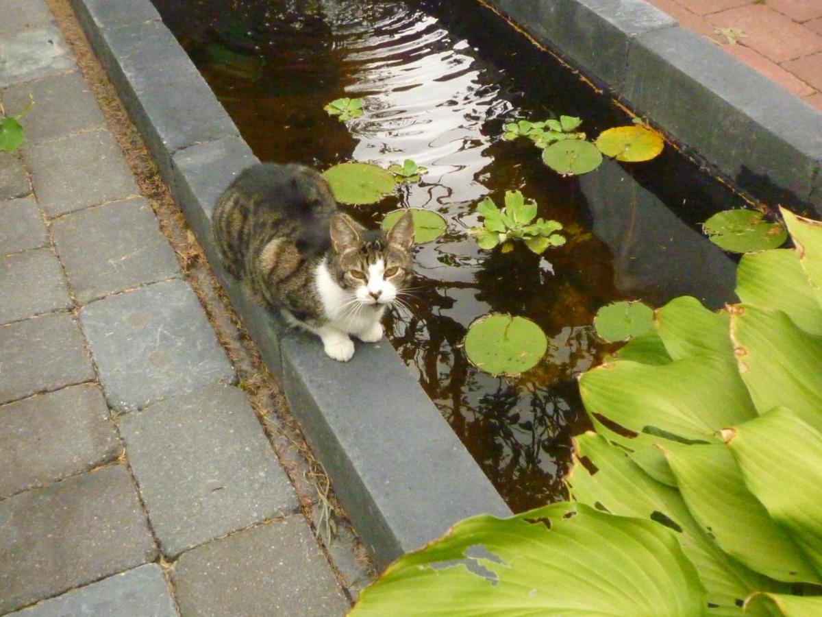 Cessinas Bed & Breakfast Groningen Bagian luar foto